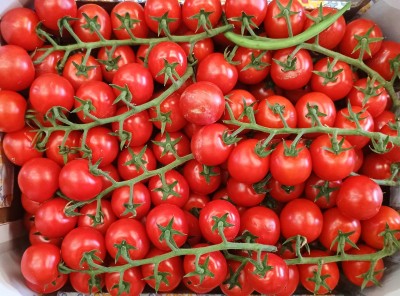 Foto Pomodoro Ciliegino Origine Italia Marchio Gentile 2